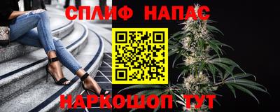 молекула духа Нарткала