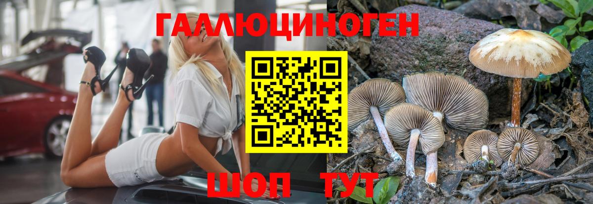 Тула  Псилоцибиновые грибы Psilocybe  Вход с VPN 